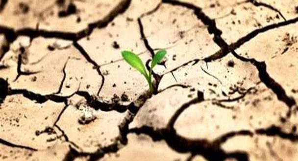 آبیاری درختان در بحران بی آبی