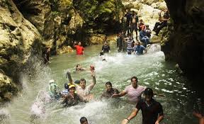 تنگ دار