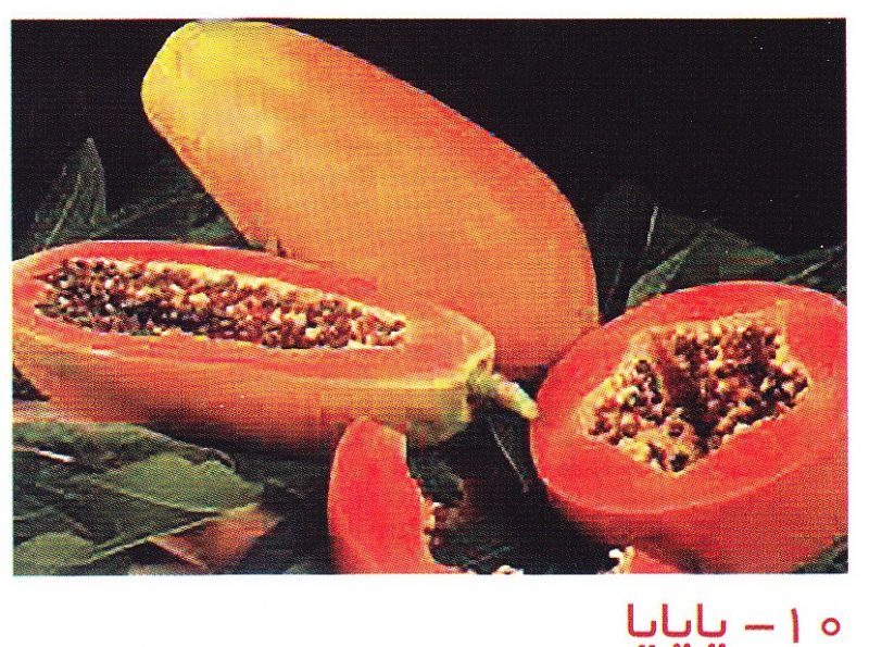 پاپایا